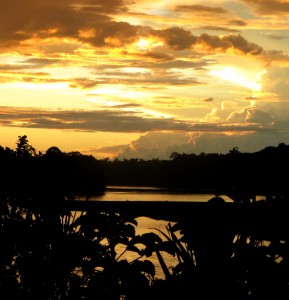 sunset in the amazon