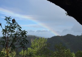 Waking Up: Relevant to Psychotherapy? Waking Up: Relevant to Psychotherapy?